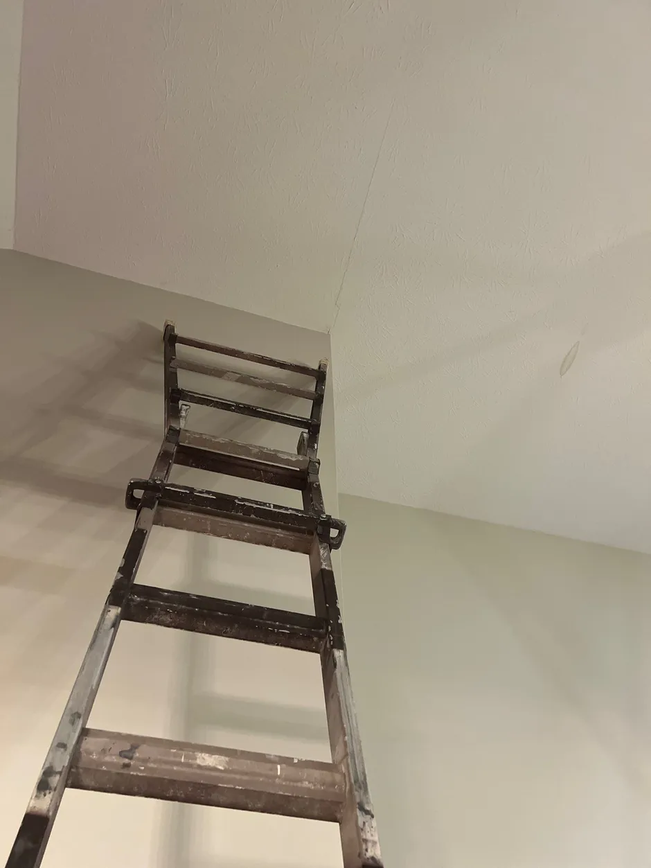 Fast, Reliable Roof Repairs from Local Experts