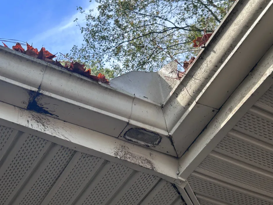 Premium Roof Replacements for Distinctive Properties