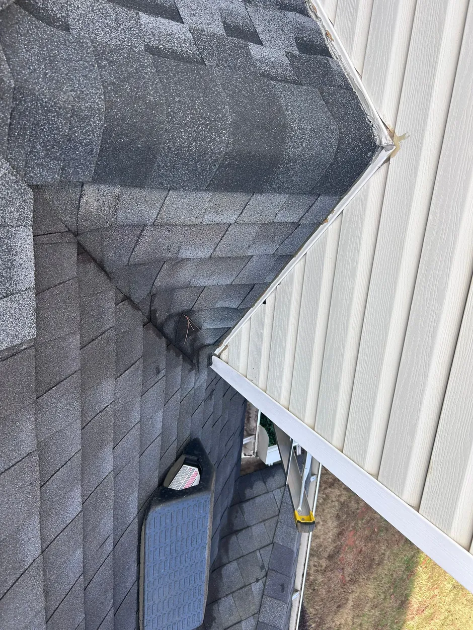 Buford Roofing Specialists—Lake to Downtown